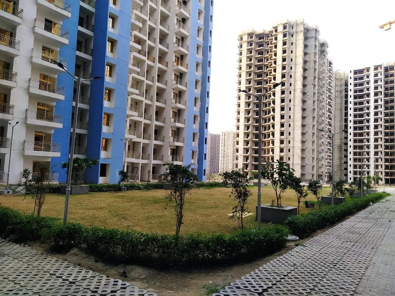 Patel Neotown
