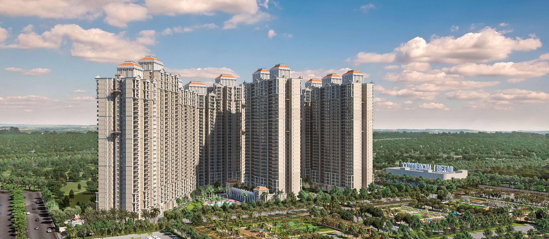 Prateek Grand Begonia