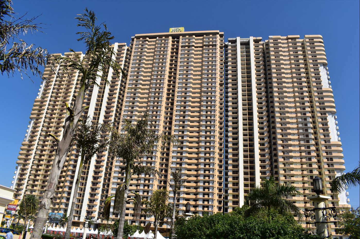Saya Gold Avenue