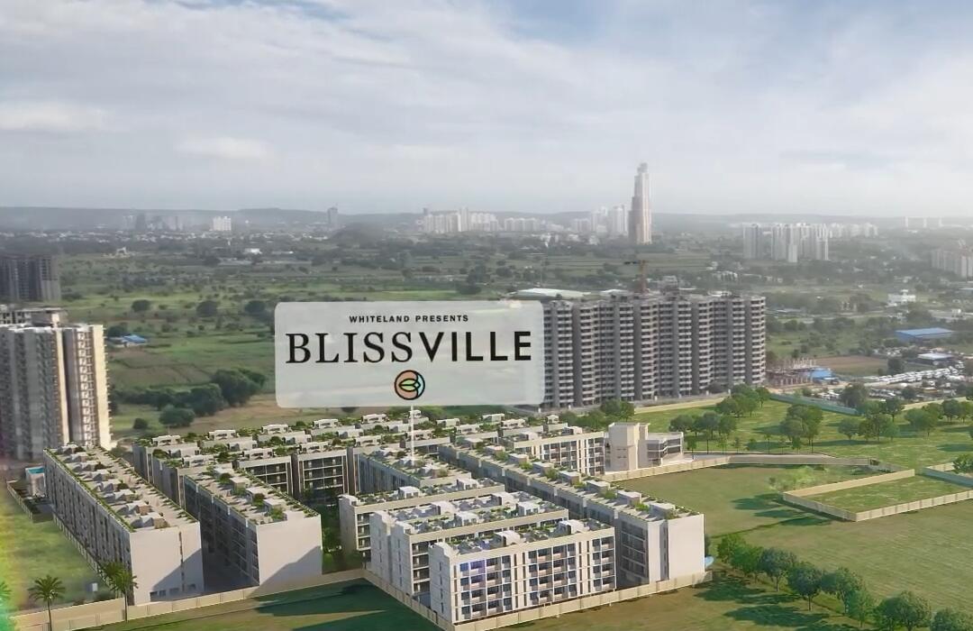 Whiteland Blissville